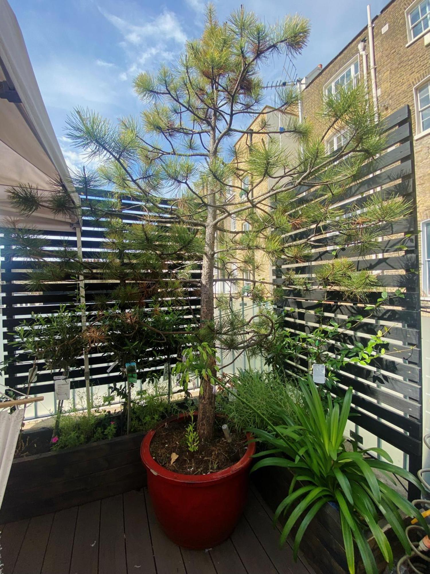Luxury Belgrave Square Private Mews Townhouse Villa London Exterior photo